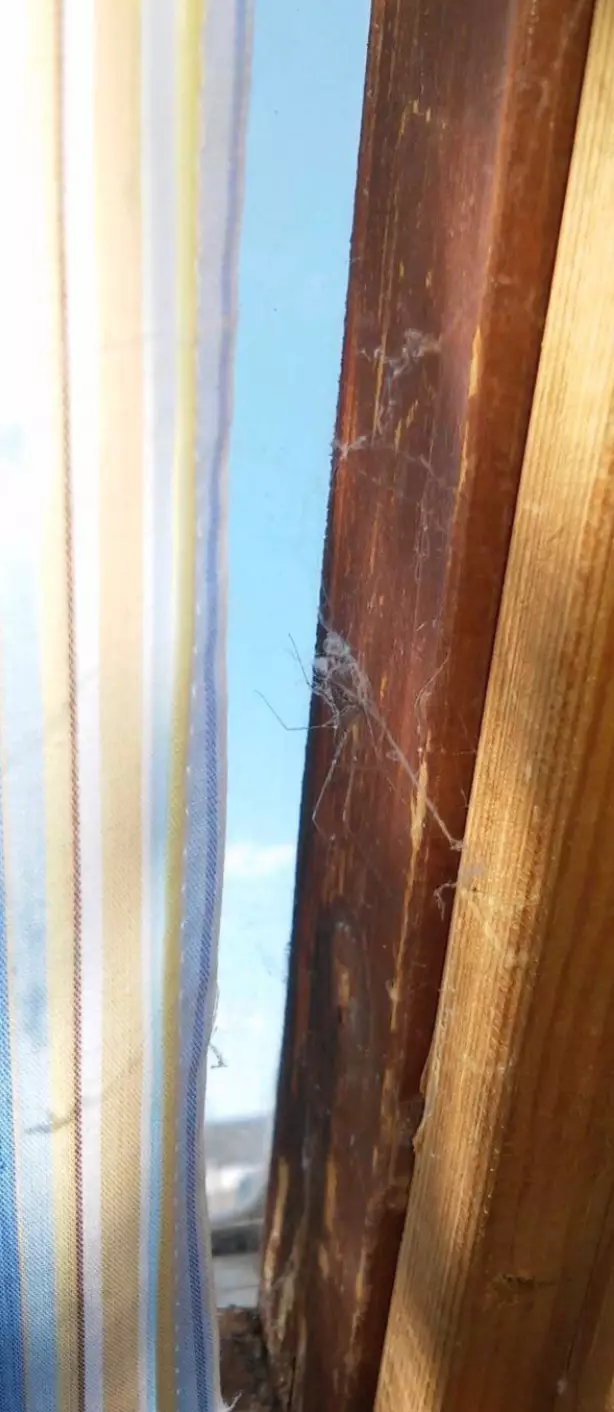 Another picture shows cobwebs on the door frame.
