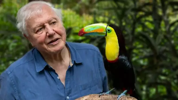 Sir David Attenborough Is Making New Series For BBC 