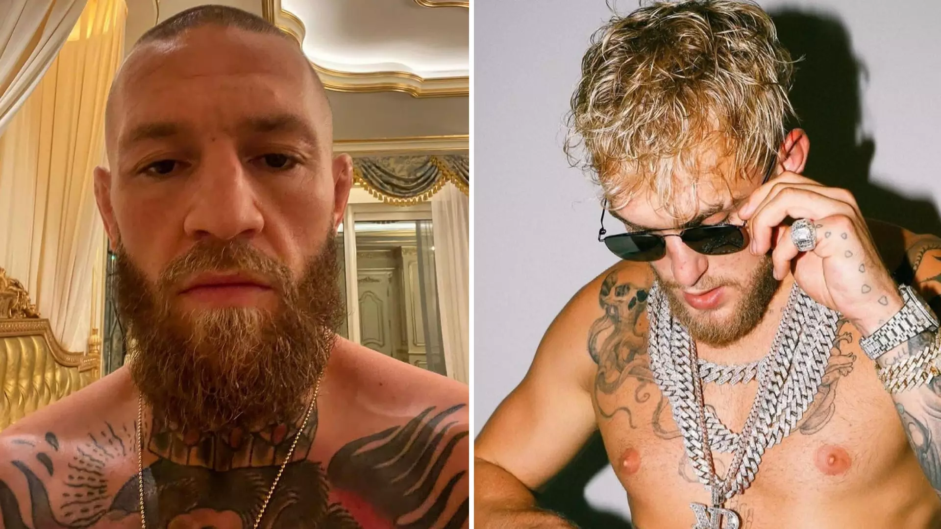 UFC Superstar Conor McGregor Takes Cheeky Swipe At Jake Paul After Calling Out Kamaru Usman