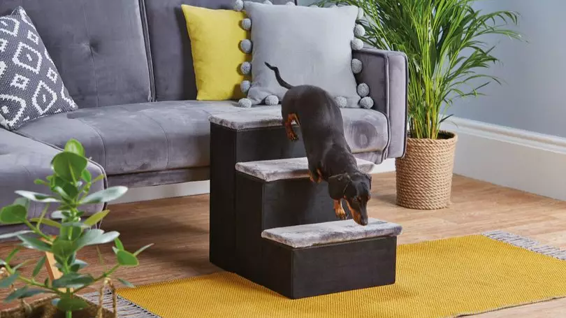 Aldi Is Selling Pet Stairs To Help Your Dog Climb On The Sofa