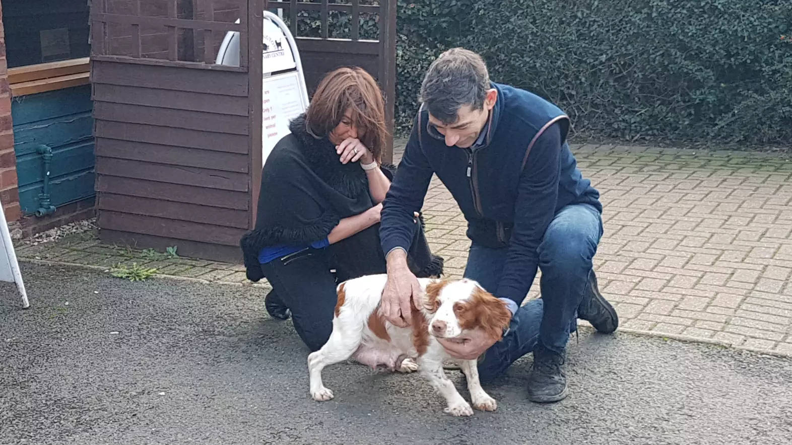 Dog Owners Reunited With Cocker Spaniel Six Years After She Was Stolen