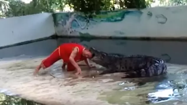 Terrifying Moment Crocodile Clamps Jaws Down On Zookeeper's Head