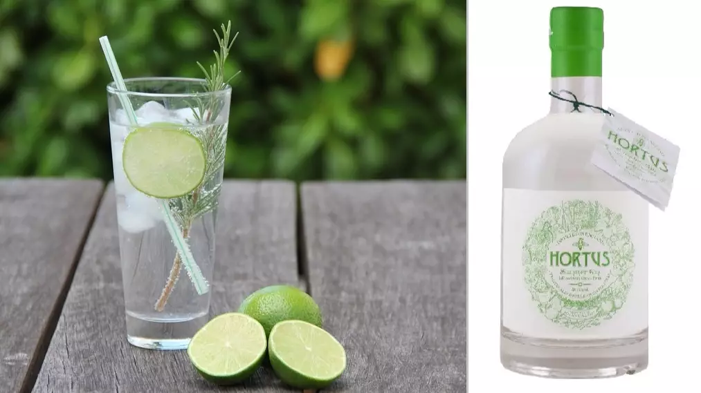 Lidl Has Launched A Summer Version Of Its Award-Winning Gin 