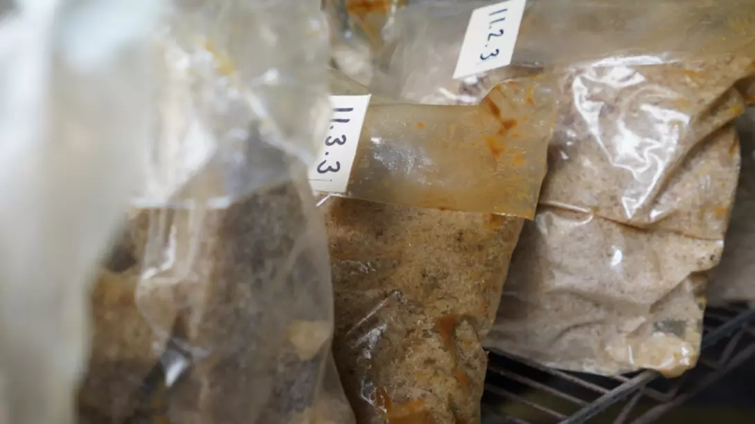 Queensland Cops Seize $90 Million Worth Of The Highest Purity Of MDMA They've Ever Seen
