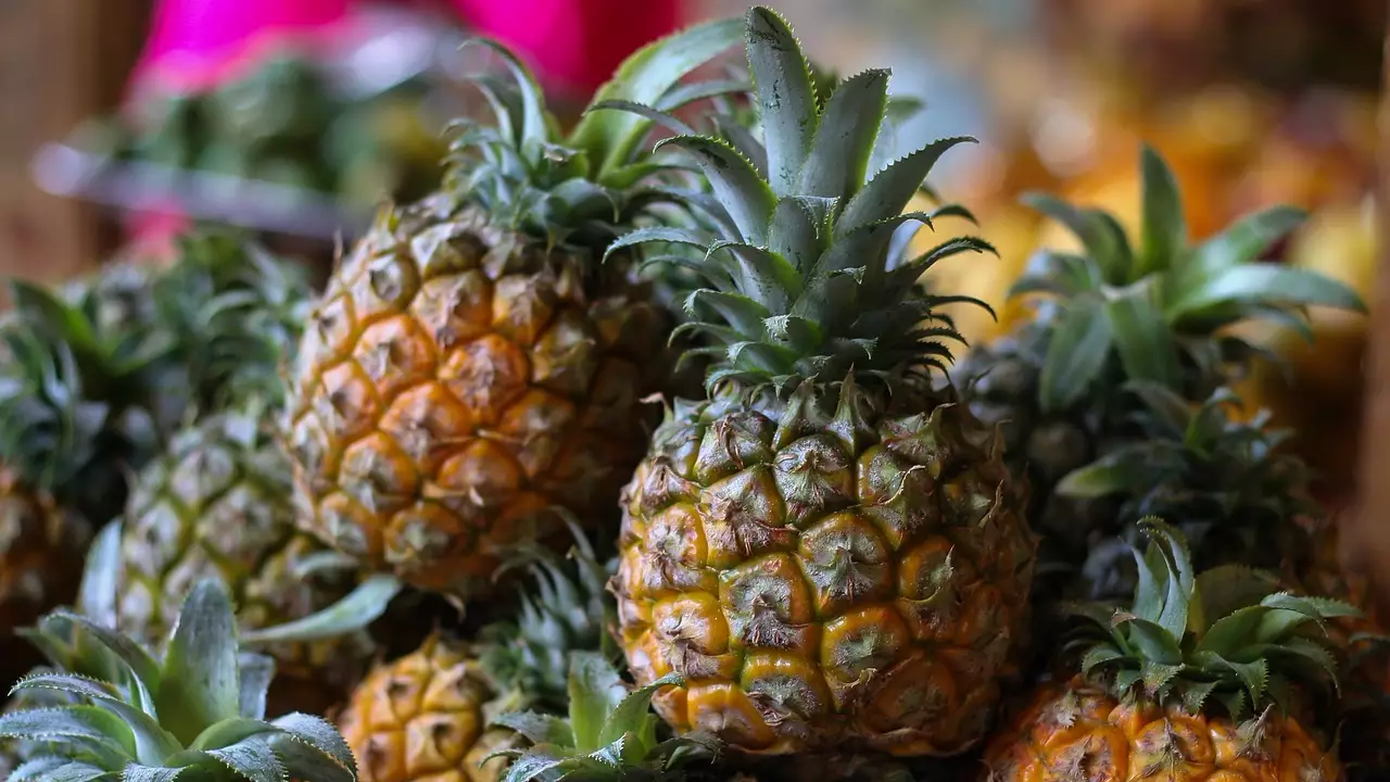 Pineapple Christmas Trees Are Actually A Thing Now, According To The Internet