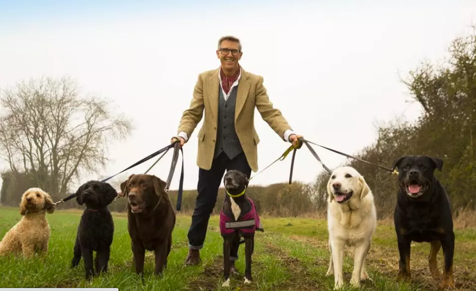 Graeme Hall is here to solve all your canine conundrums (