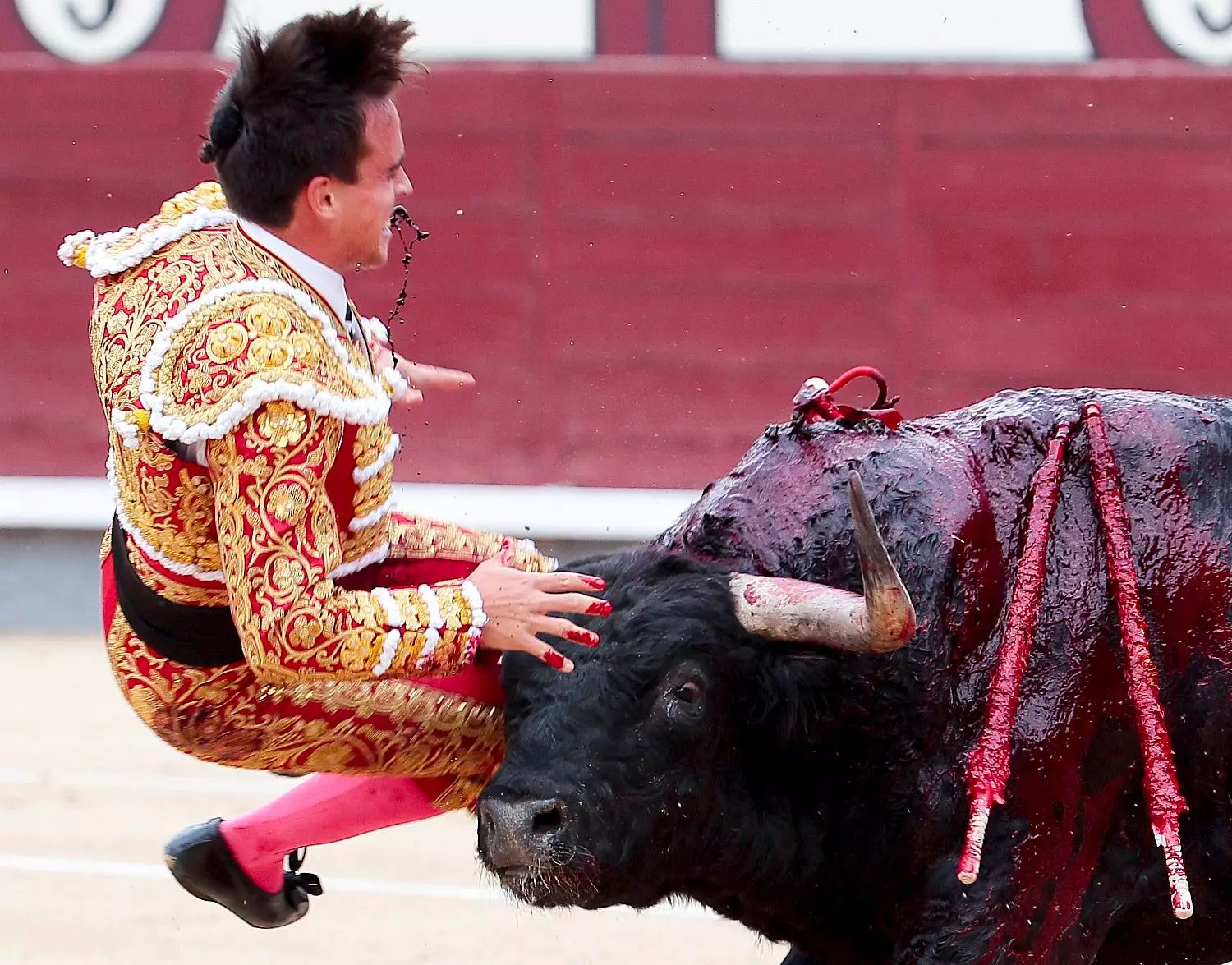 Matador Gonzalo Caballero was treated at the bullring's infirmary before being moved to hospital.