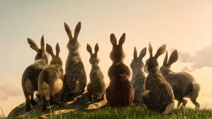 BBC's Adaptation Of 'Watership Down' Divides Some Viewers