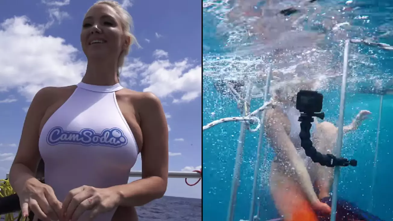 Porn Star Bitten By Shark During Underwater Cage Shoot 
