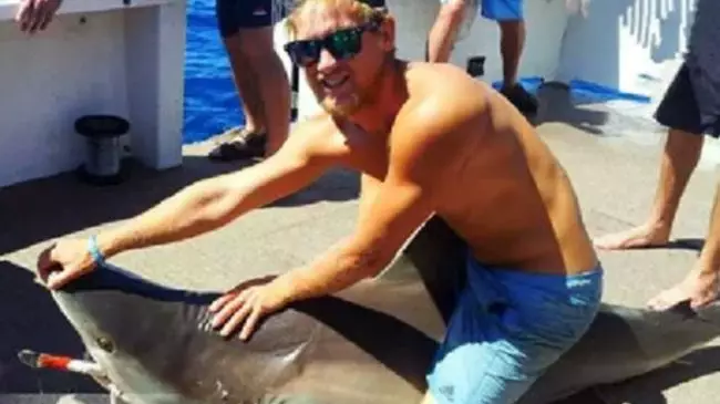 Man Nicknamed 'Shark Rider' Attacked By Shark Off The Coast Of Australia