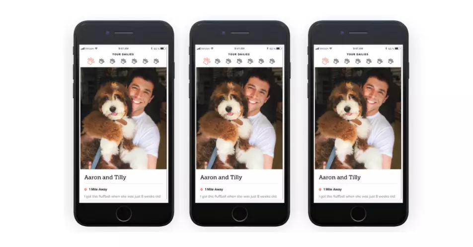 Your Dig profile looks much like a normal dating profile - as long as it's photos with you and your dog. (