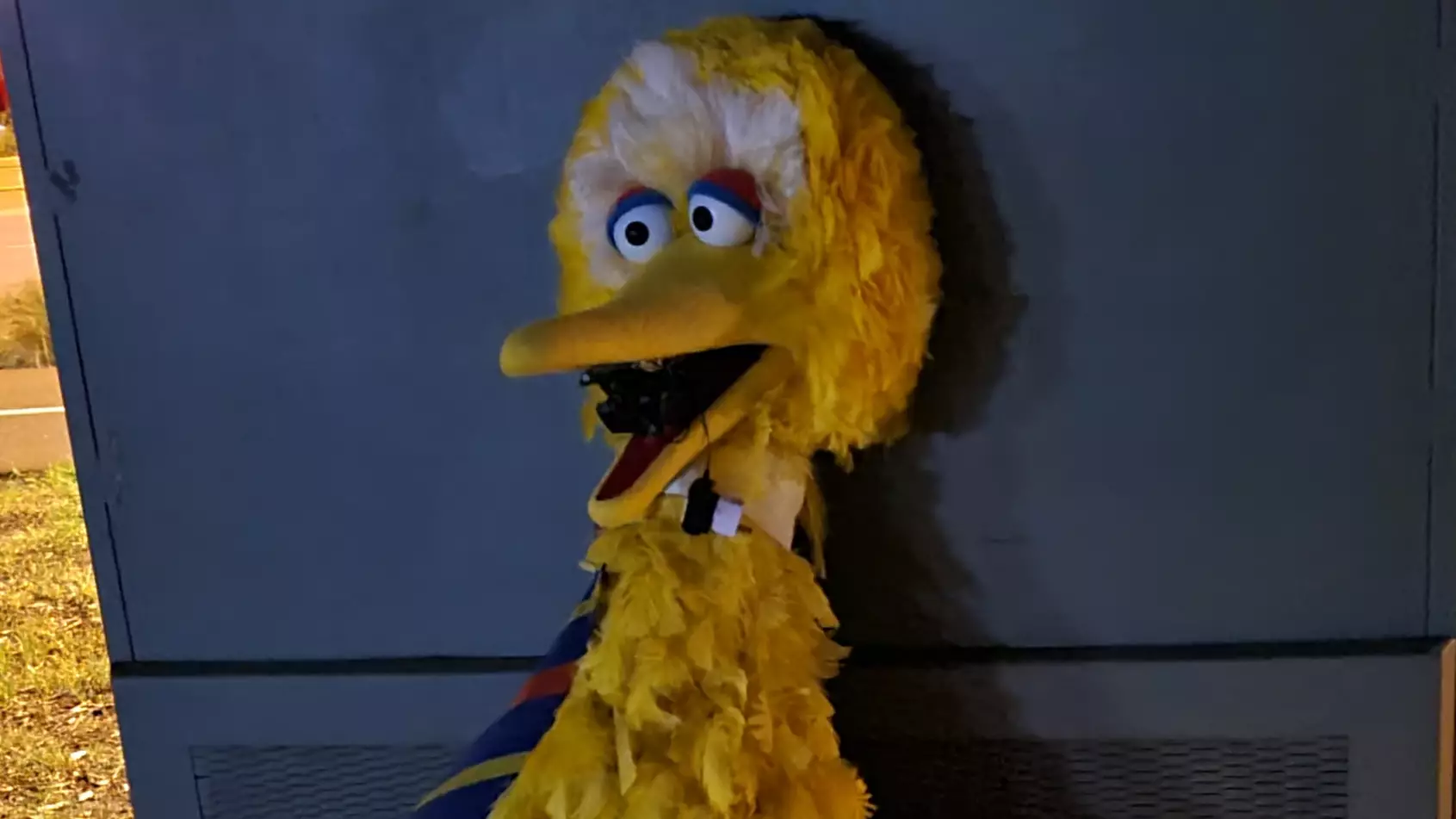 Thieves Return $160,000 Big Bird In Adelaide And Leave Weird Note To Police