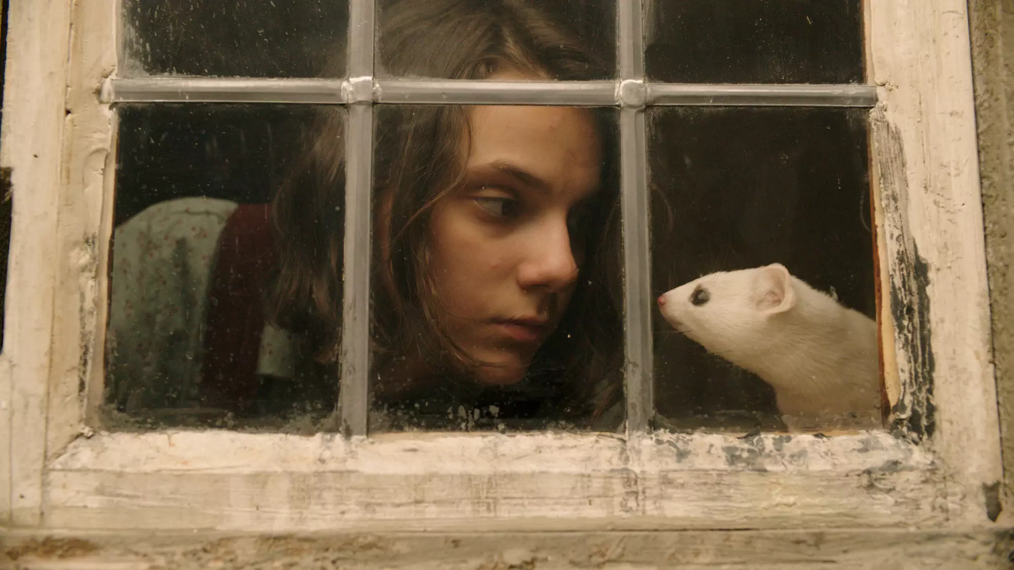 'His Dark Materials' follows the adventures of Lyra who wants to know why children her age are going missing (
