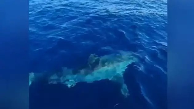 Huge Six Metre Shark Filmed Hunting Two Men In A Boat
