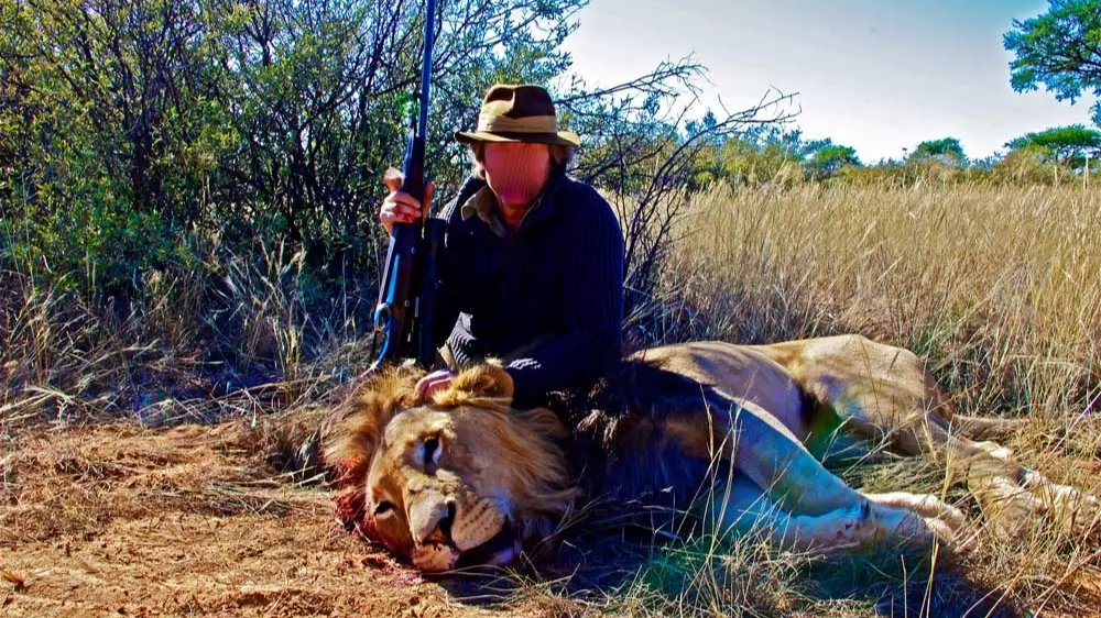 Trophy Hunting Company Offers Buy One, Get One Free Lion Package