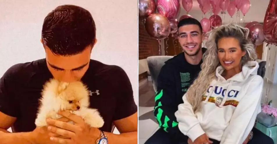 Molly-Mae Hague And Tommy Fury Anger Fans After Shipping New Puppy From Russia