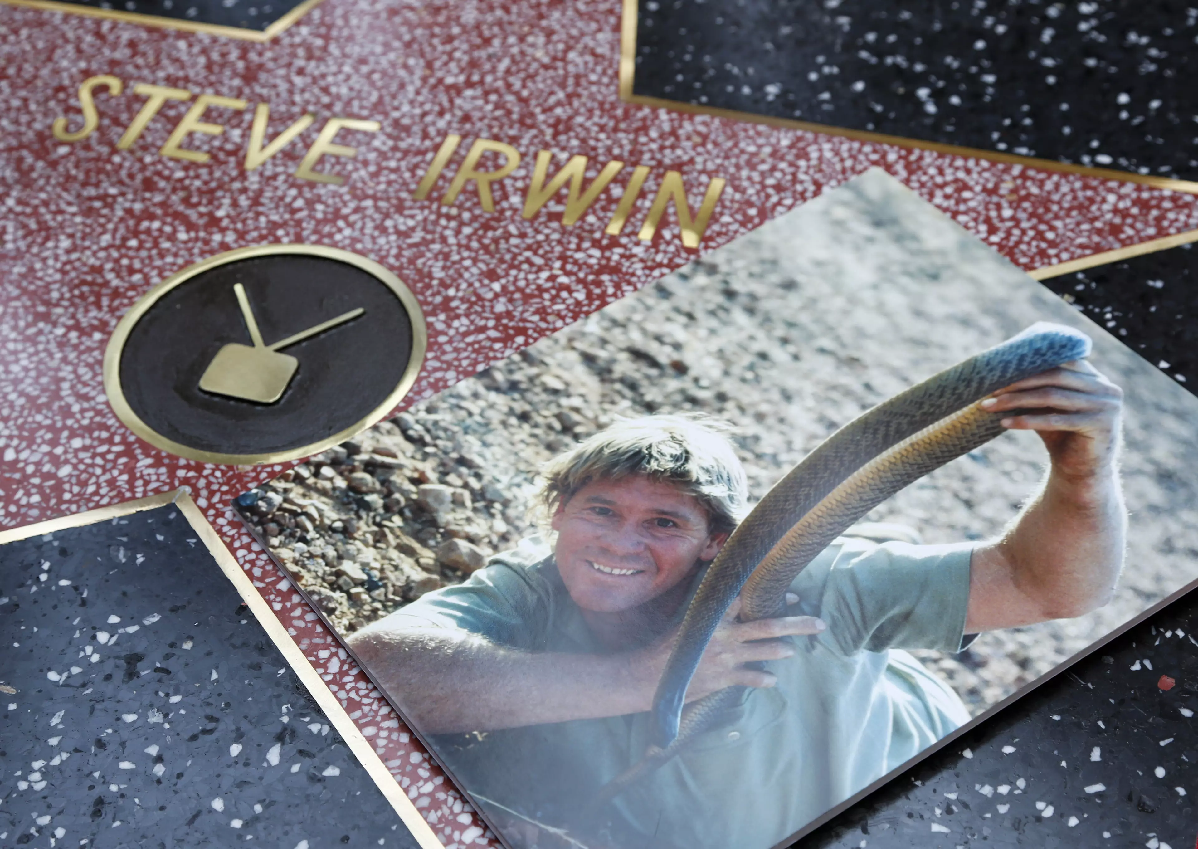 Irwin was honoured with a star on the Hollywood Walk of Fame.