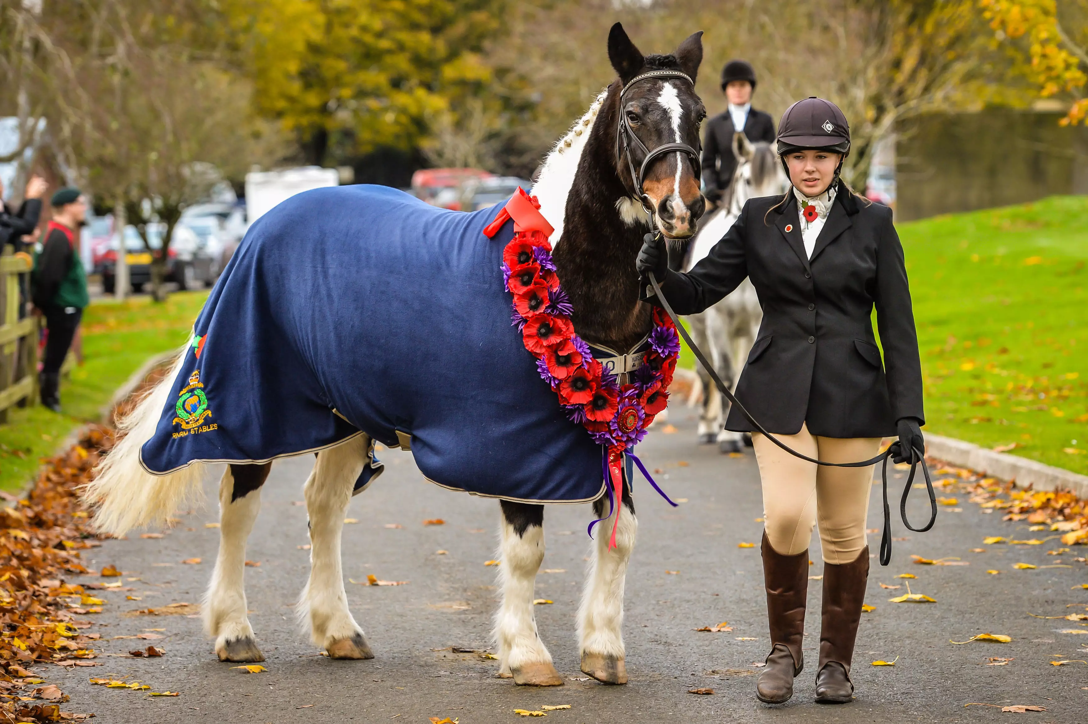 First Ever Remembrance Service For Horses That Died In Battle Was Held Today 