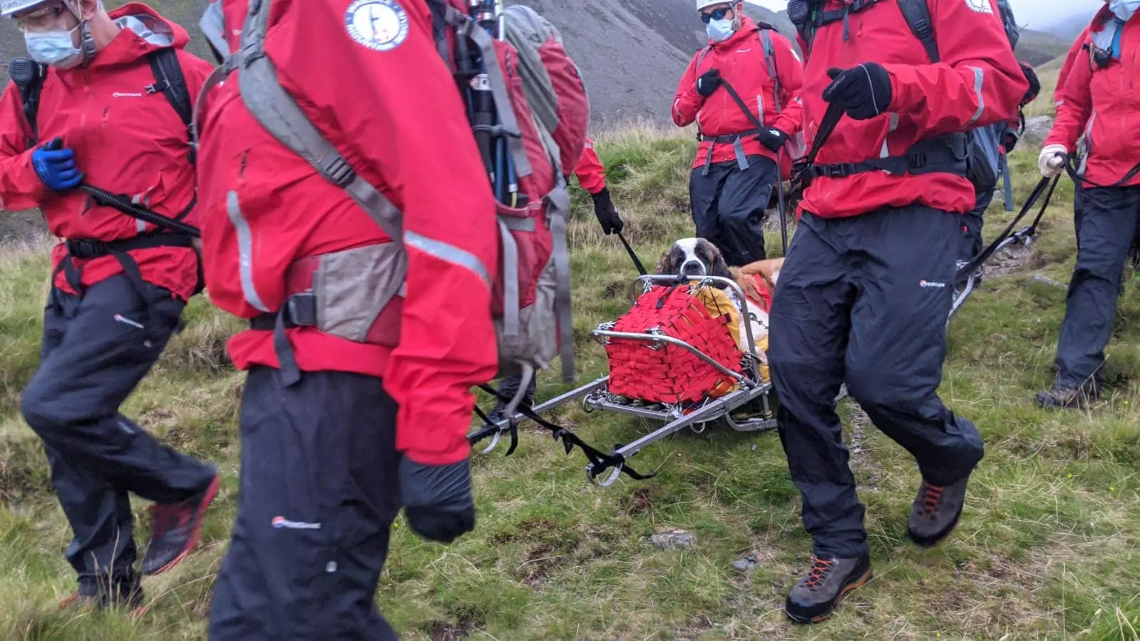 Daisy had to be carried down on a stretcher (