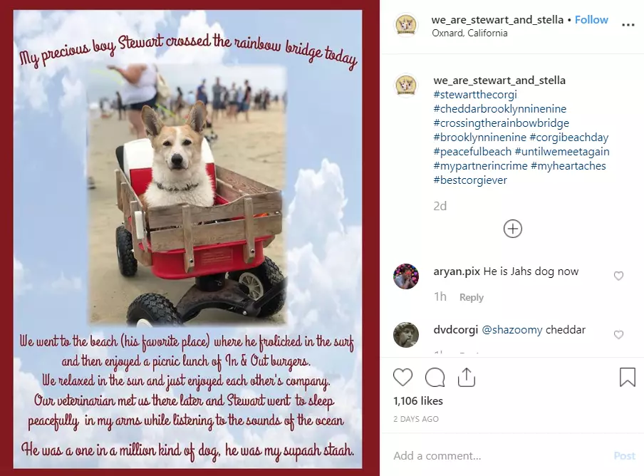 His owner announced the sad news on Instagram.