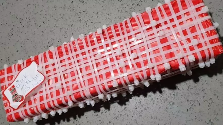 Sister Pranks Brother By Wrapping Christmas Present In Cable Ties