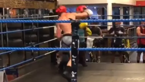 Logan Paul Floors Opponent With Huge Right Hand In Unseen Sparring Footage