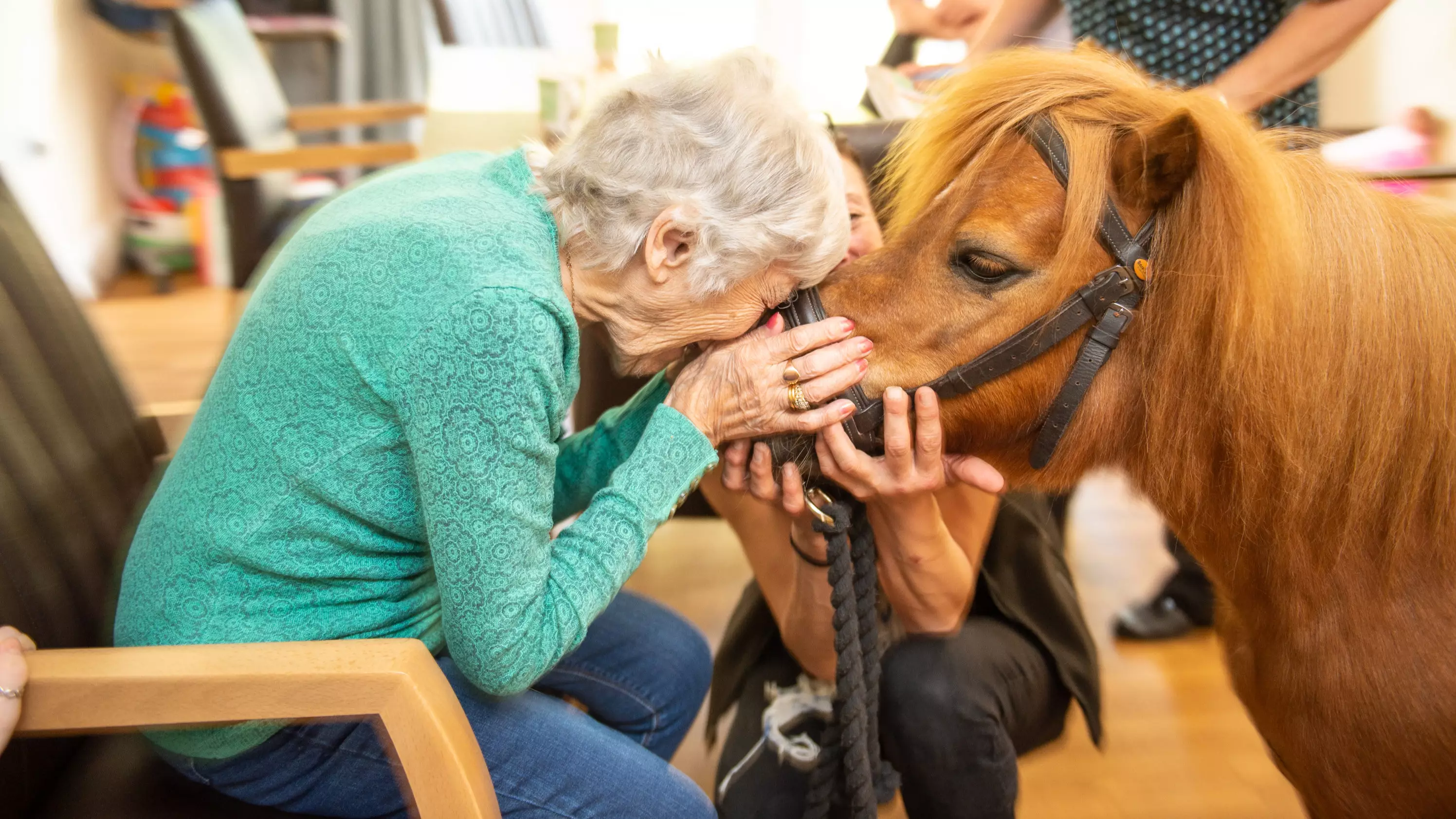 Care Home Residents Overjoyed As Two Miniature Ponies Pay A Visit 