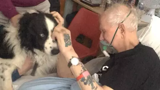 Dying Grandad Gets Final Wish To See His Pet Dog 