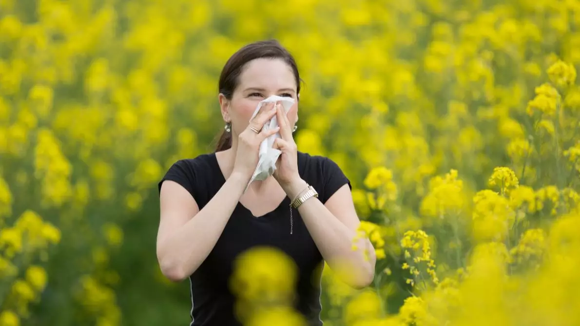 ​Delayed Start To Spring Brings Hay Fever Outbreak To Britain  