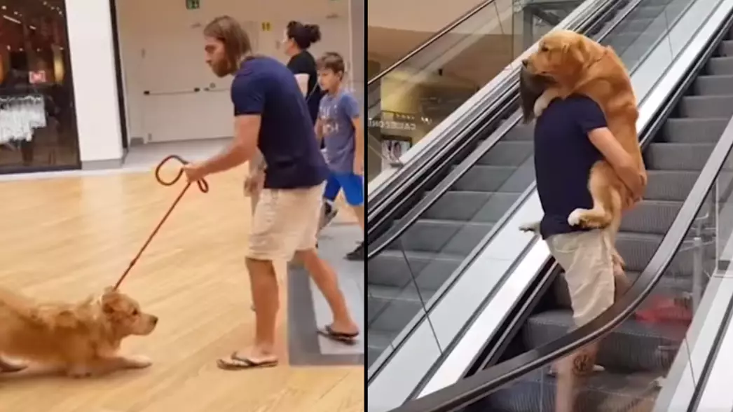 Man Carries His Dog Up Escalator After It Gets Scared