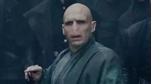 Voldemort's Robes Faded Every Time A Horcrux Was Destroyed In 'Harry Potter'