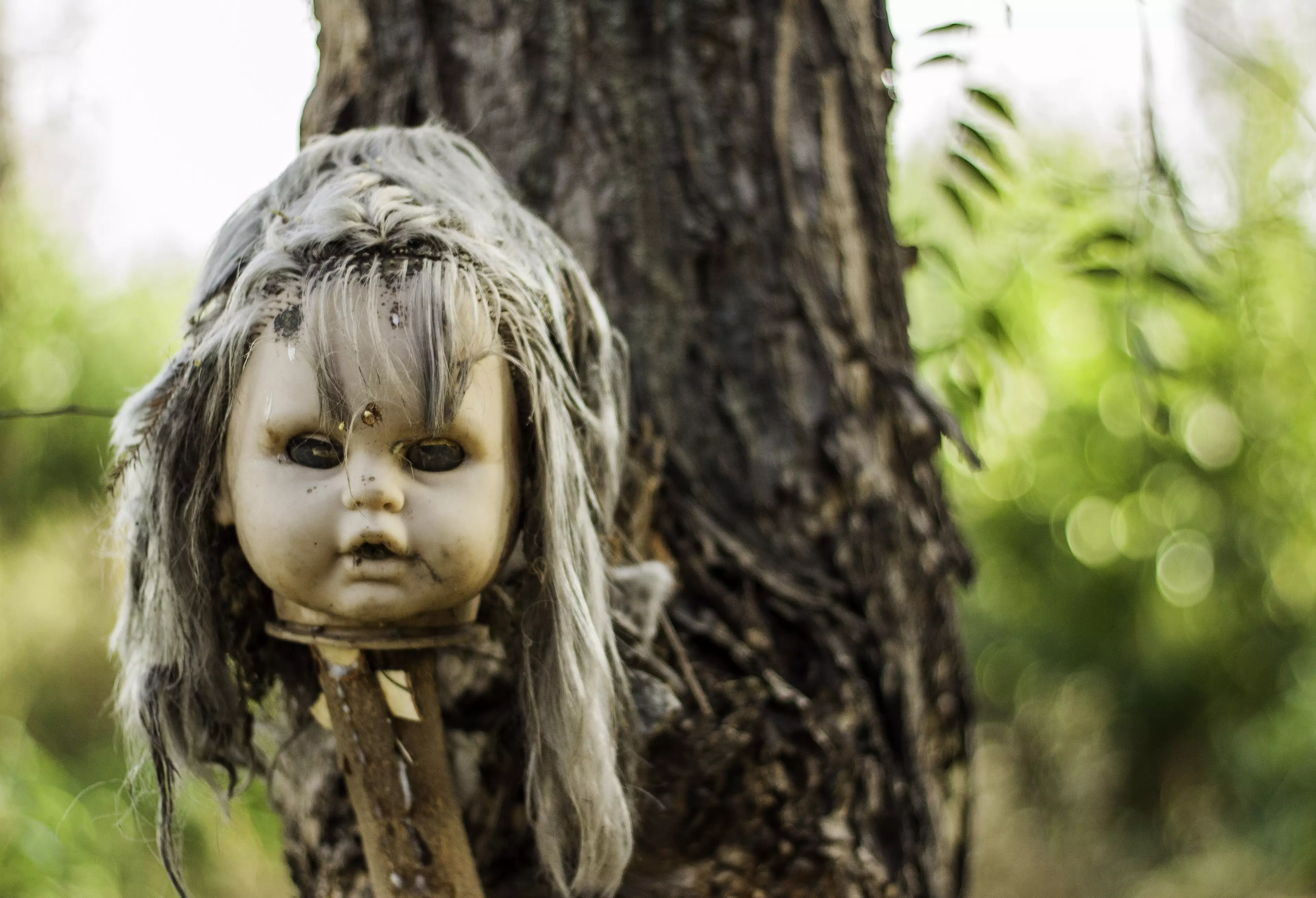 World's Creepiest Tourist Attraction Has Thousands Of Decapitated Baby Dolls