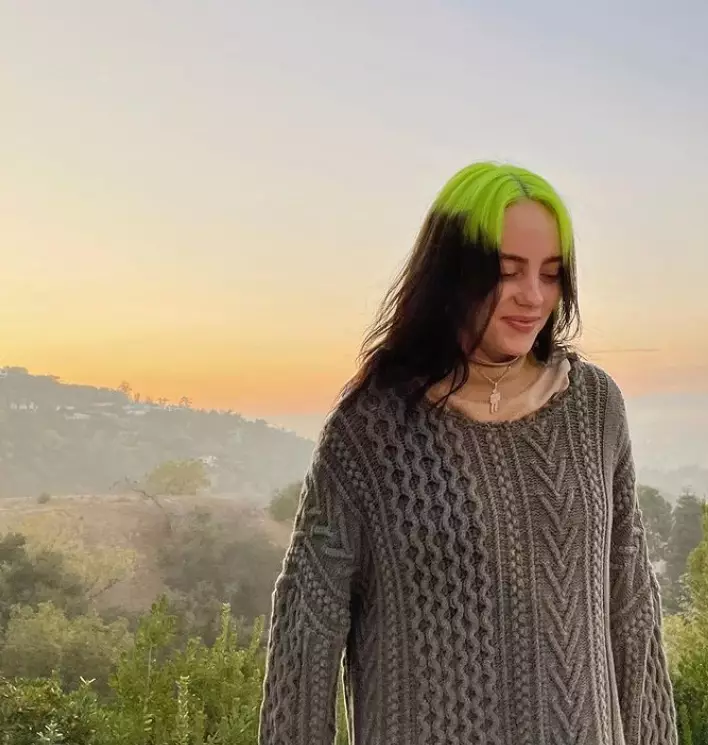 Billie Eilish's neon green and black 'do is a new take on the hair trend taking over social media (