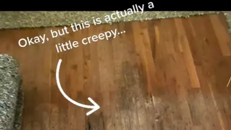 Woman Makes Grim Discovery Under Carpet Of Her New Home