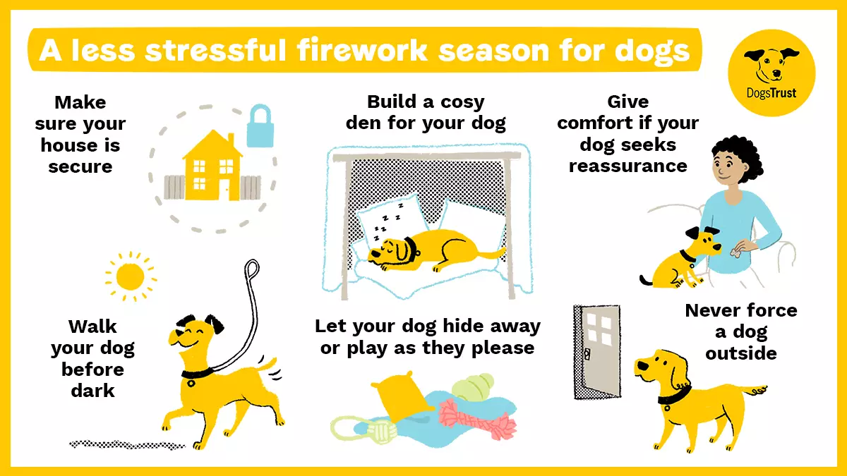 There are steps you can take to help minimise your dog's distress.