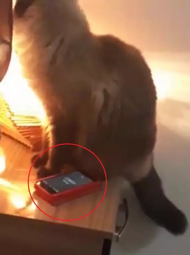 The alarm screen can be seen on the phone.