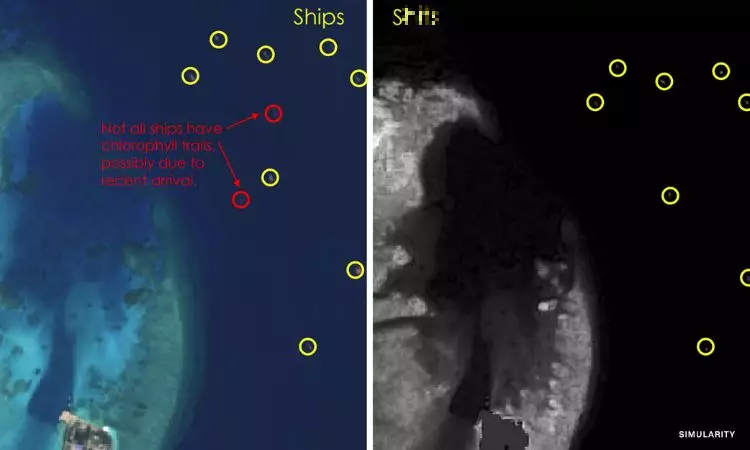 The location of the ships is shown on the left, algea growth from the human waste they dump is shown on the right.