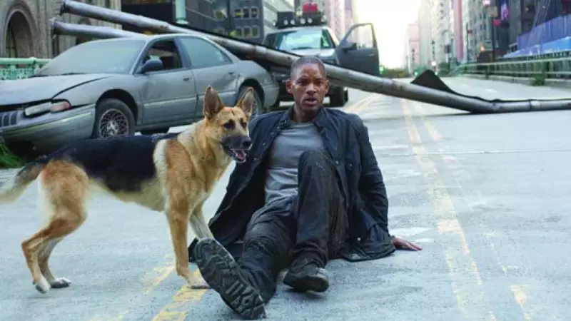 Abbey, The Dog From I Am Legend, Is Now 13 And Enjoying Her Retirement