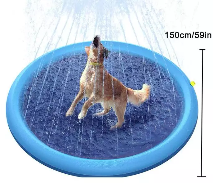 The splash mat is big enough for any dog (
