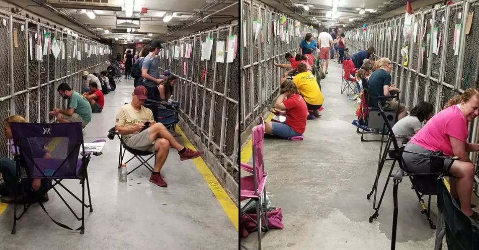 Americans Are Skipping 4th July Fireworks To Comfort Scared Shelter Dogs