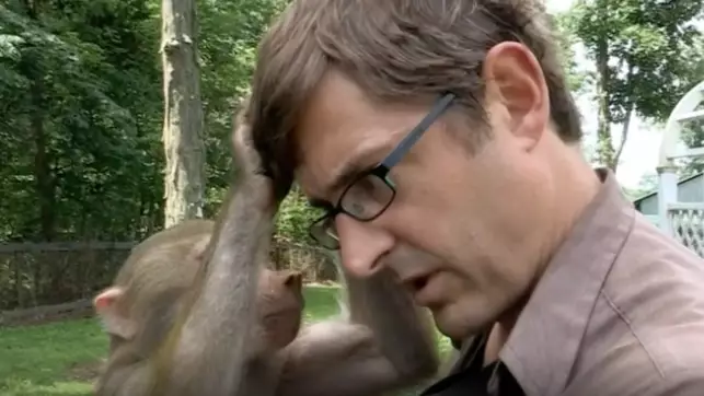 Unearthed Clip Of Louis Theroux Meeting Baboon In 'Joe Exotic' Doc Is TV Gold