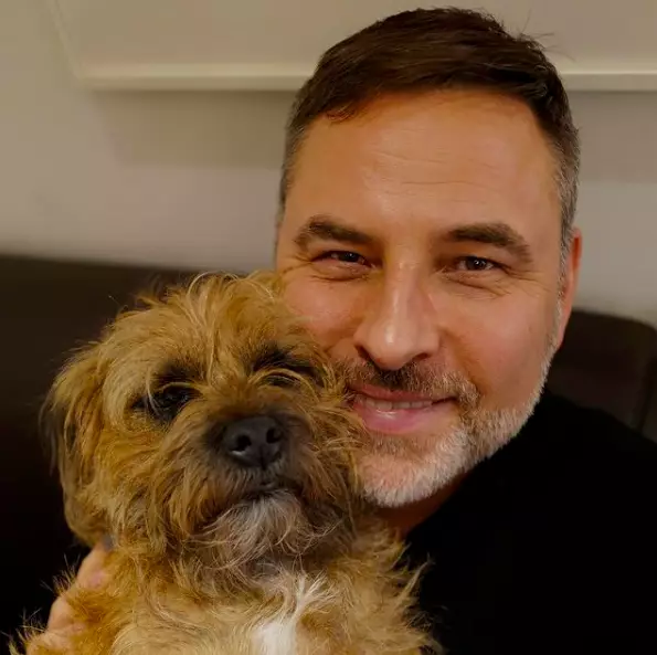 David Walliams has two border terriers who he loves dearly (