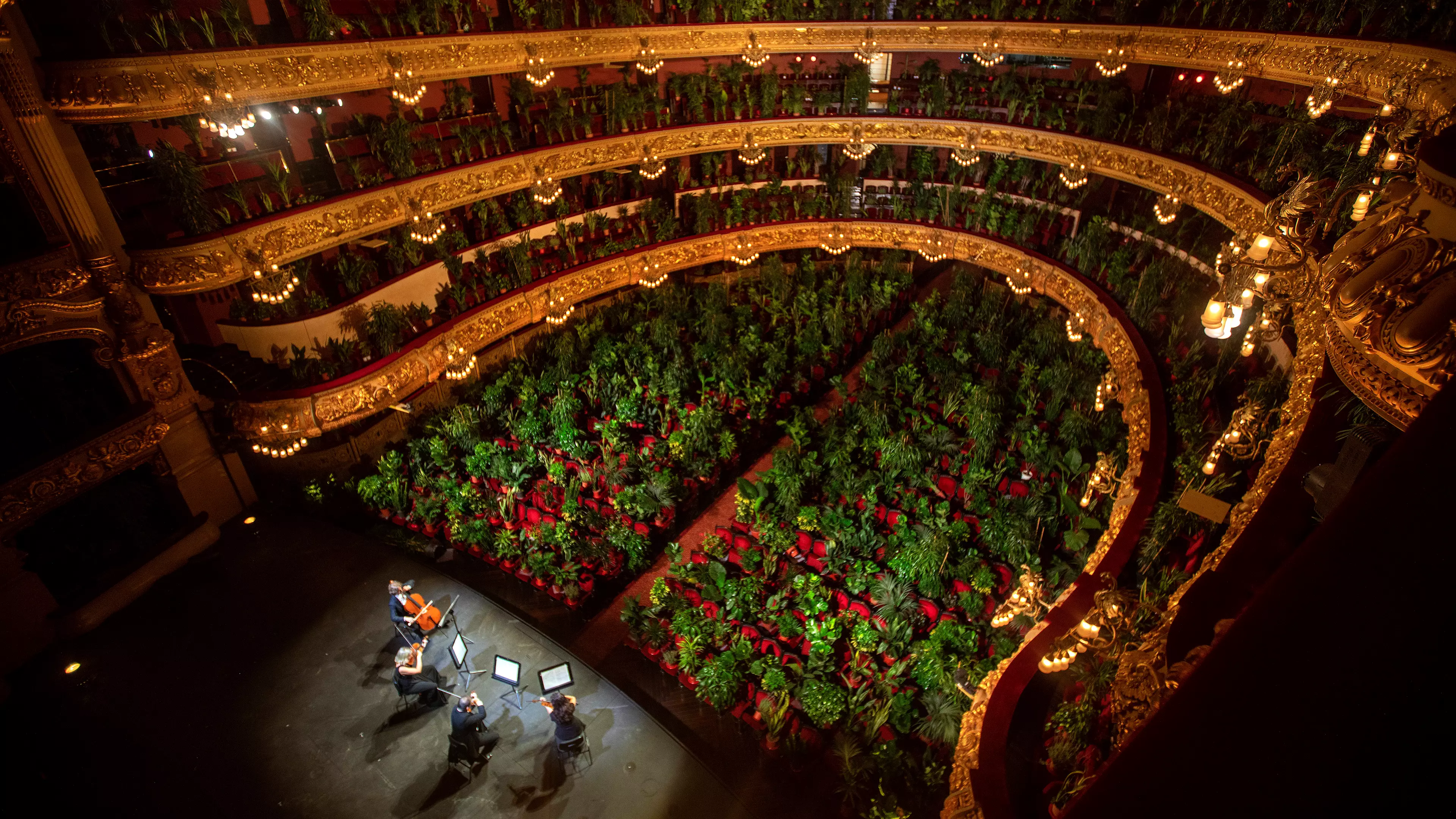 Barcelona's Opera House Hosts First Event In Three Months In Front Of 2,295 Indoor Plants