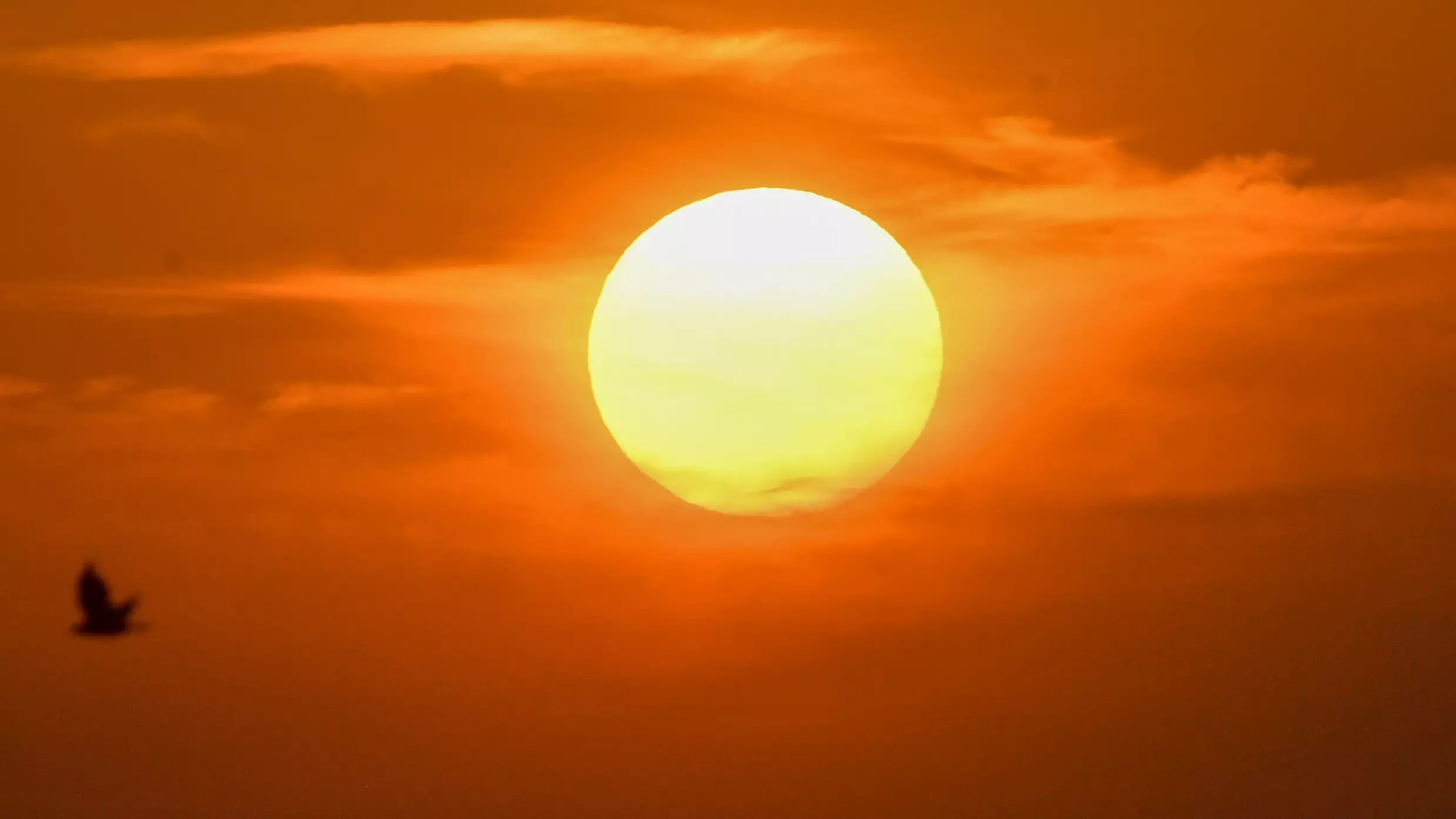 Australia Bracing For Hottest Day On Record This Week