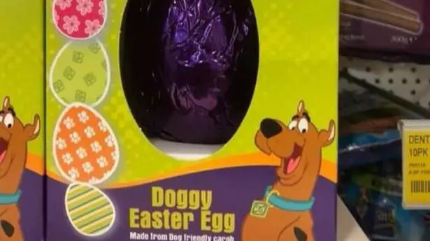 This Easter, Why Not Buy An Easter Egg For Your Dog?