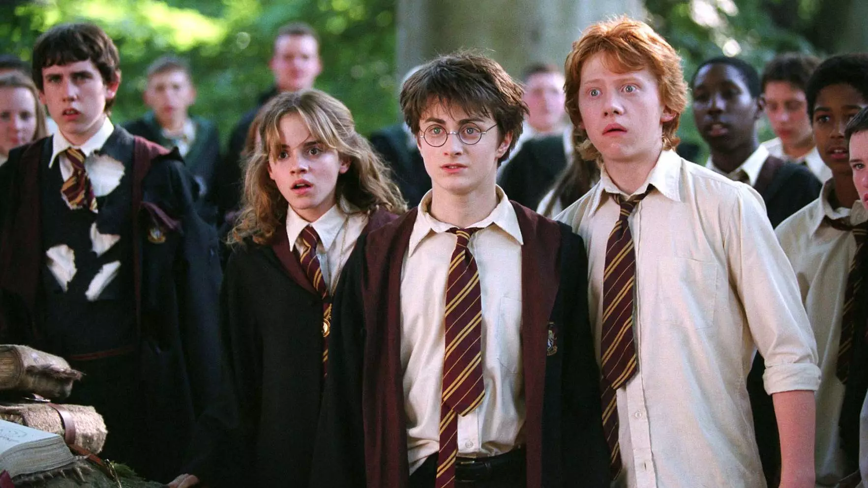 Harry, Ron and Hermione have no further adventures planned (
