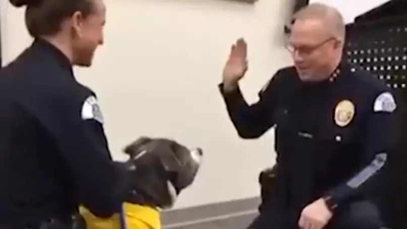 Terminally Ill Dog Sworn Into Police Force As Honorary K-9 Officer