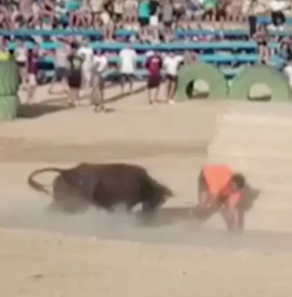 The angry bull charged straight at the man during a festival in Alicante, Spain.