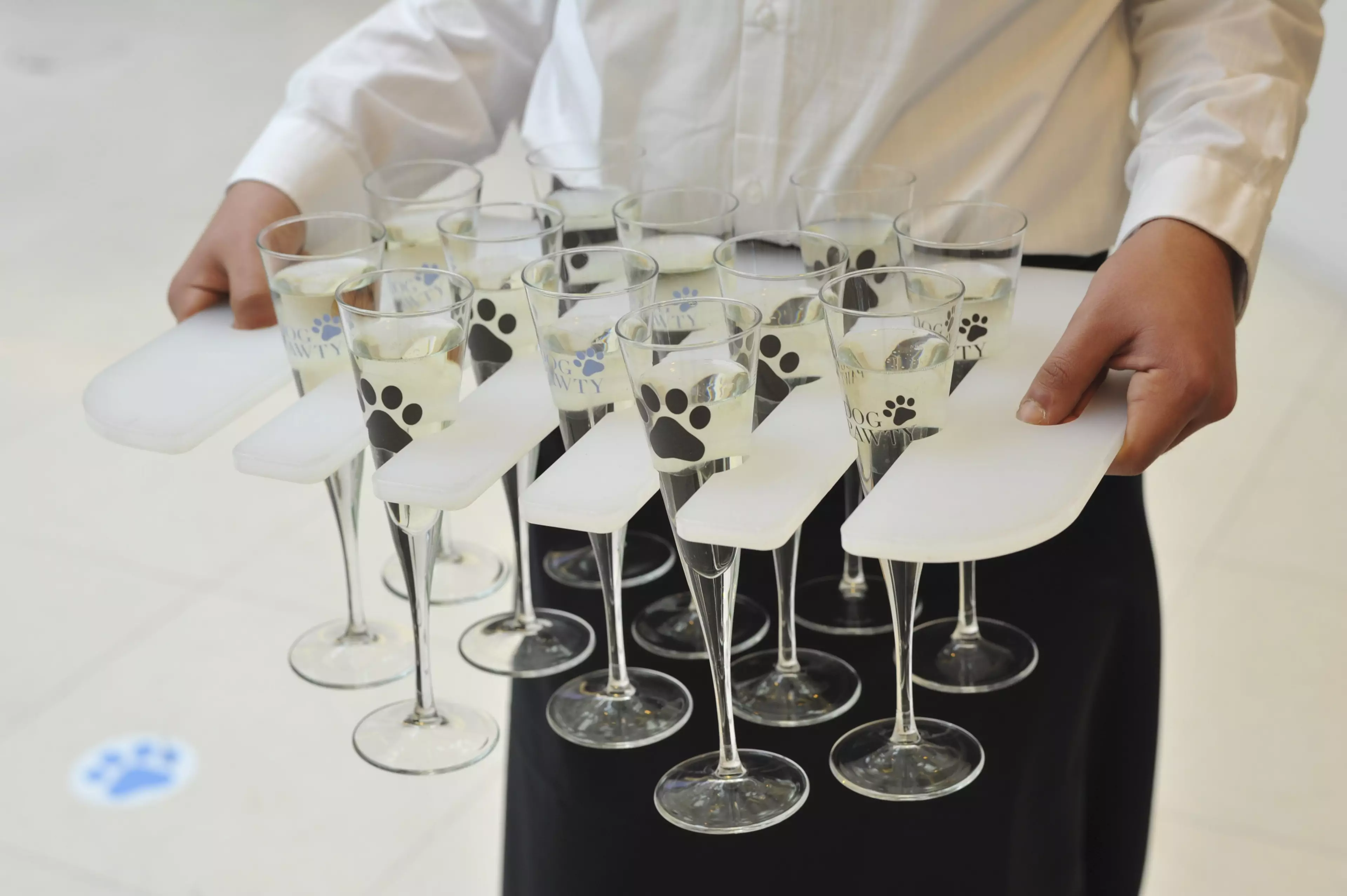 The dog pawties involve pawsecco for dogs and prosecco for their parents (