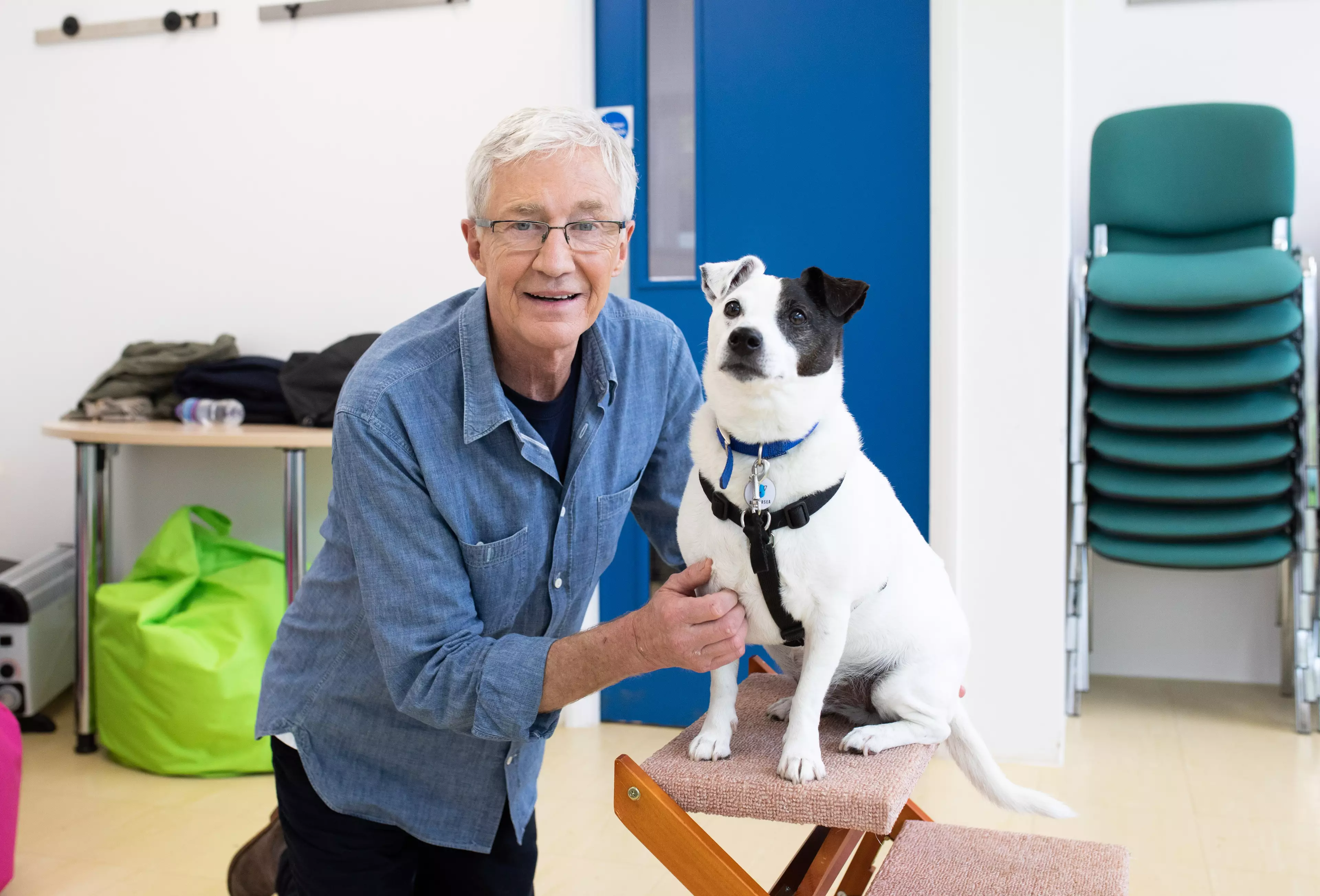 Archie has made a friend in Paul O'Grady who is trying to help him find a home. (